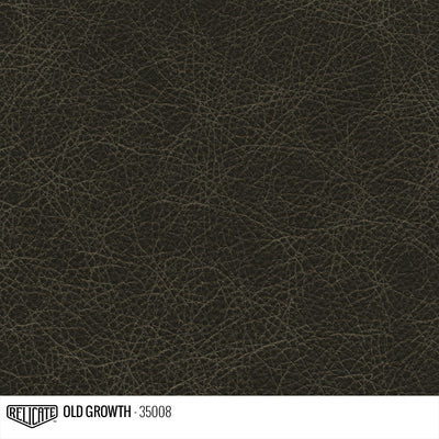 Satin Distressed Leather Hide(s) / Old Growth 35008 / Full Hide - Relicate Leather Automotive Interior Upholstery