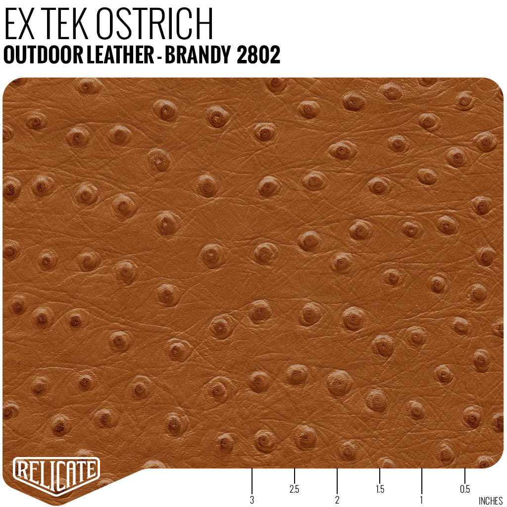 Ostrich Leather Collection - Brown